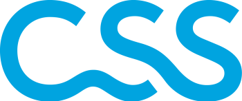 Logo CSS.png